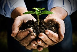 RESPONSABILIDADE SOCIAL E CORPORATIVA